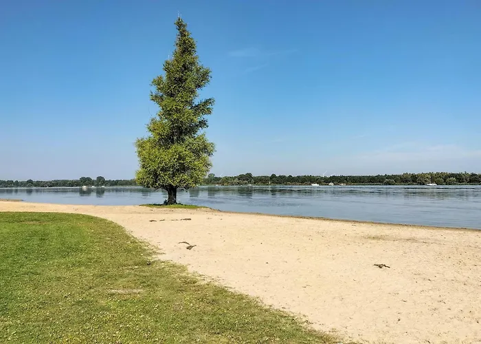 Gorgeous In With Wifi *